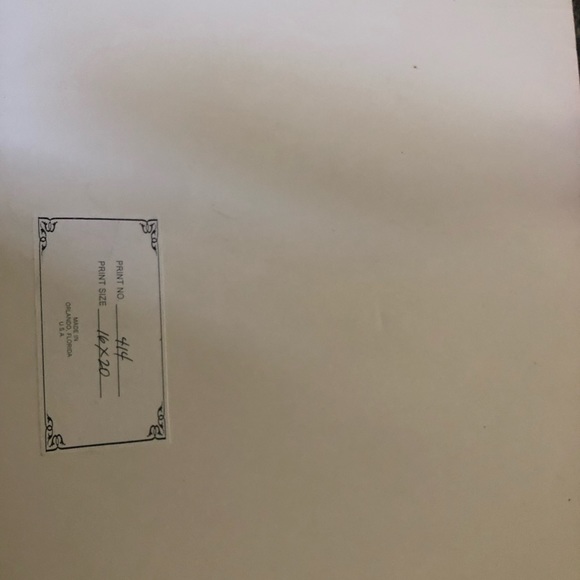 Disney’s Grand Floridian Wedding Pavilion Print - Picture 6 of 6